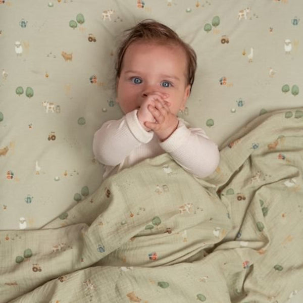 Little Dutch - Hoeslaken Little Farm, Hoeslakens, Little Dutch, Keekabuu