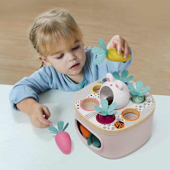 Topbright - Formenset - Zuordnen und Sortieren - Karotten