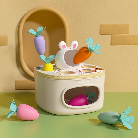 Topbright - Vormenstoof - Match en Sort - Worteltjes